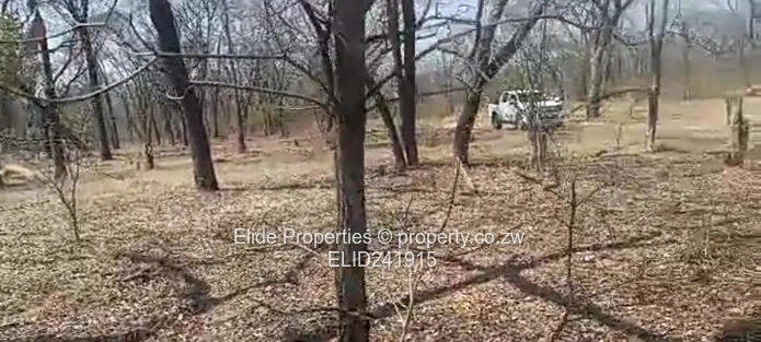 1,130ha Gokwe Farm — Gravel Roads, Grazing & Kraal (Sole Mandate)