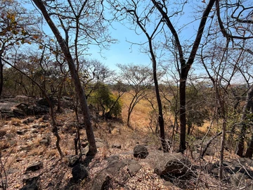 Commercial & Industrial Land