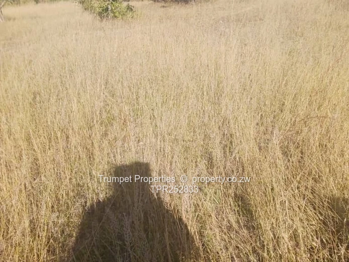 5ha Arable Grazing Farm in Goromonzi - Gravel Access (Sole Mandate)