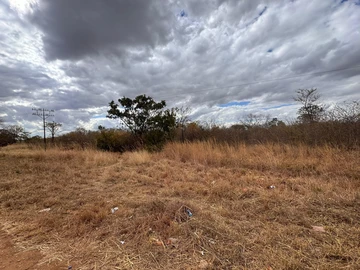 Farm & Agricultural Land