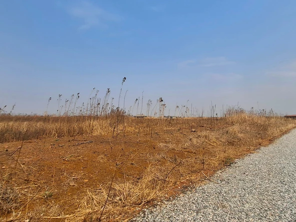 Stands & Residential Land