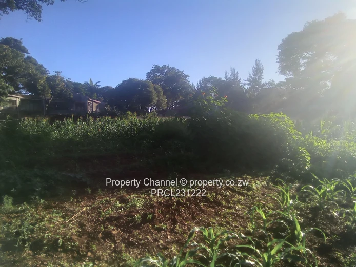 Prime Residential Stand for Sale in Borrowdale Philadelphia 