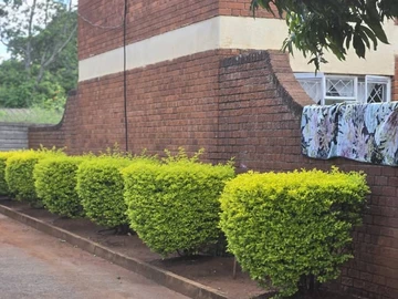 3 Bedroom Flat & Apartment