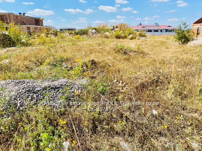 Arlington East stands for sale 