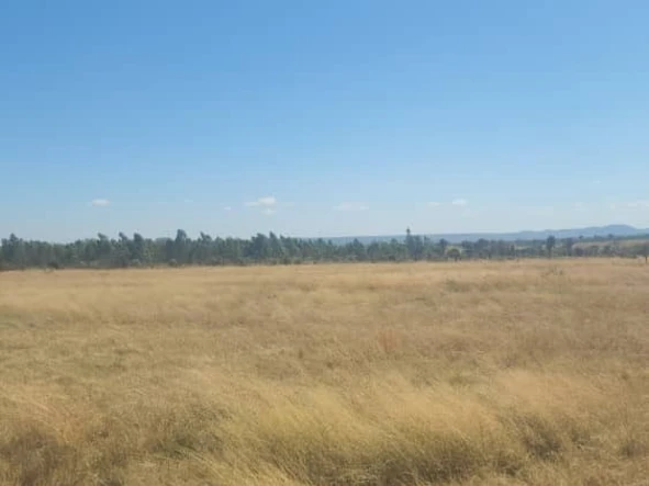Farm & Agricultural Land