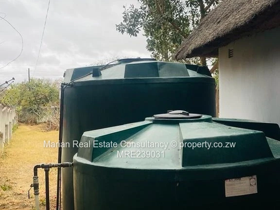 Burnside, Stand FOR SALE