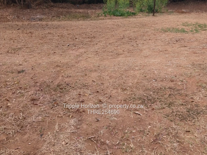 2060 sqm Prospect Stand — Main Road Frontage, Outbuilding