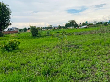 Farm & Agricultural Land