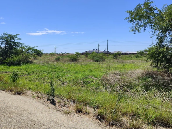 Stands & Residential Land