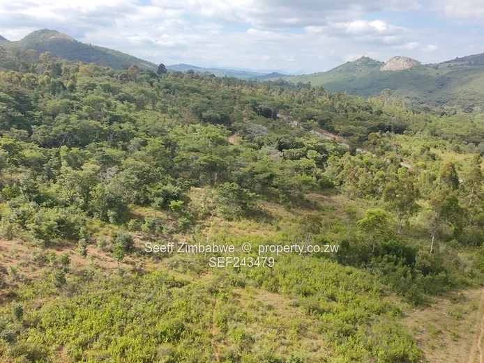 Residential Stand for Sale in Nyanga