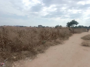 Commercial & Industrial Land