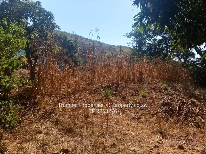 Westwood: 3-Bed Home on 4500m² with Green Cottage