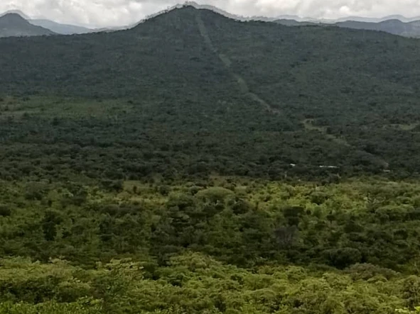 Farm & Agricultural Land