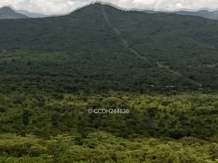 Nyanga Agro-residential plots