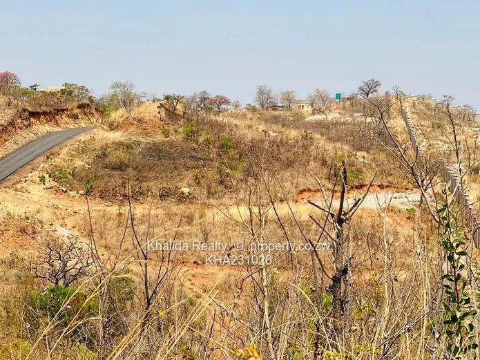 Pomona Stand For Sale  Wild Geese UZ project