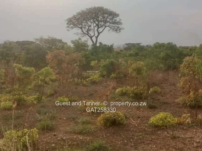 432m² RESIDENTIAL STAND for SALE| TYNWALD
