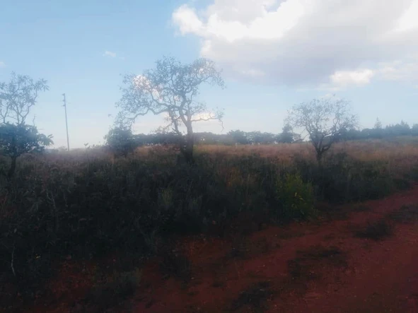 Farm & Agricultural Land