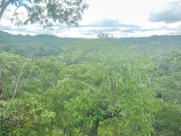 3 Bedroom Townhouse Complex