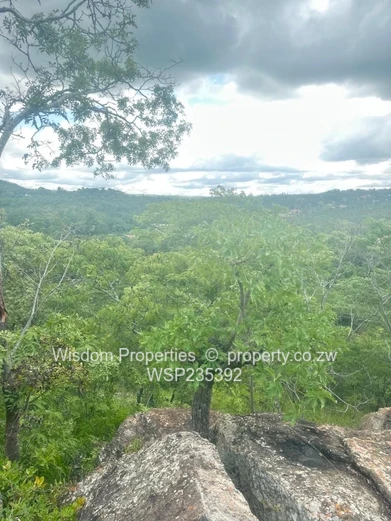 Property land at top of hill