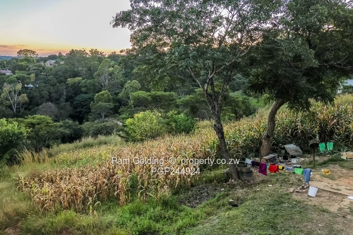 A Rare Hillside Sanctuary In Helensvale – 1.3 HA (Sole Mandate)