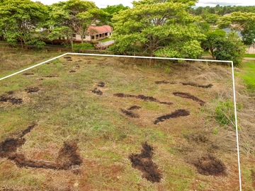 Stands & Residential Land