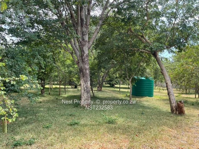 Vic falls property for sale . Land only for sale in BB7 area of Victoria falls . 