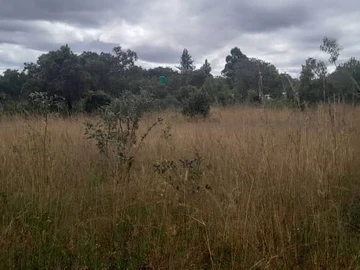 Farm & Agricultural Land