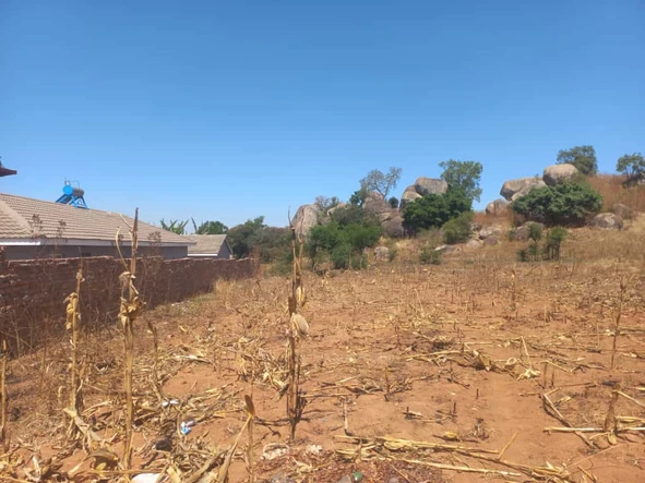 Stands & Residential Land