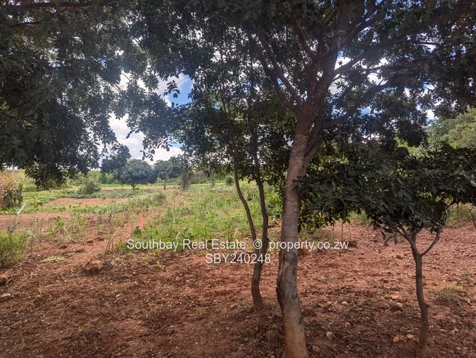 Build your future in Tynwald South