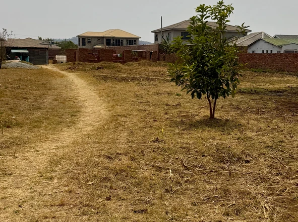 Stands & Residential Land