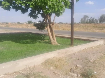 Stands & Residential Land