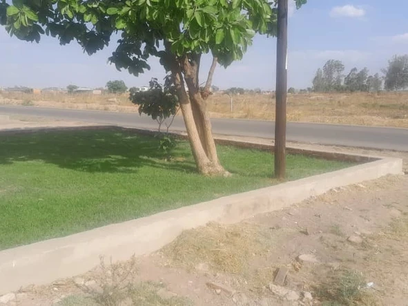 Stands & Residential Land