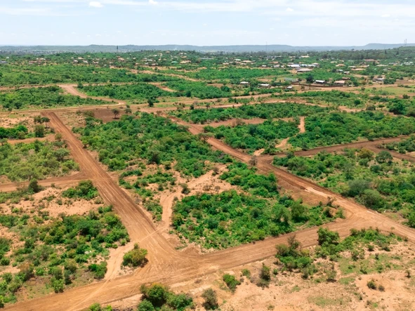 Farm & Agricultural Land