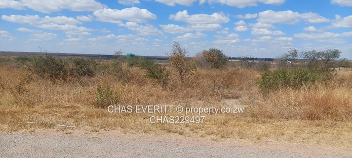 Stand For Sale – 2000m² In Kings City (Stand 495)