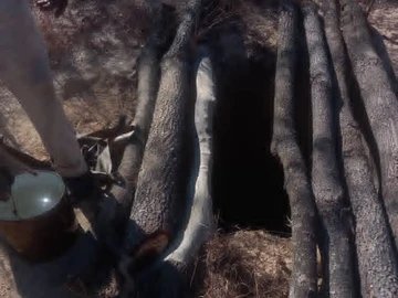 Farm & Agricultural Land