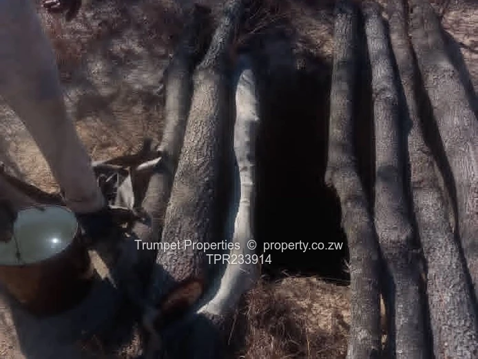 3ha Arable & Grazing Farm with Brick Shell — Marondera (Sole Mandate)