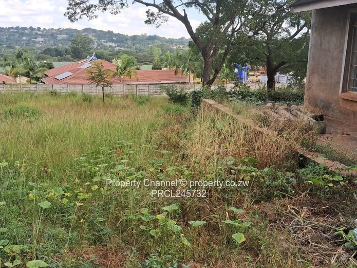 Stand For Sale In Borrowdale Brooke Ridge