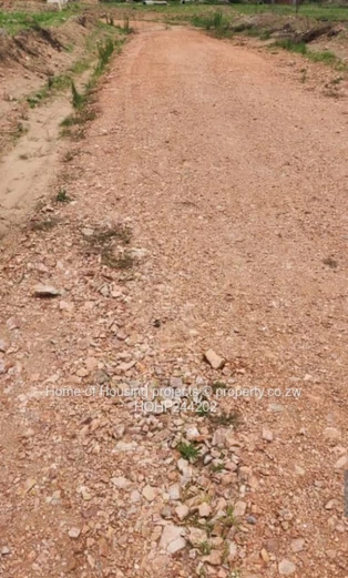 Tafara 300m² Stand — Access Control & Gravel Roads (Sole Mandate)