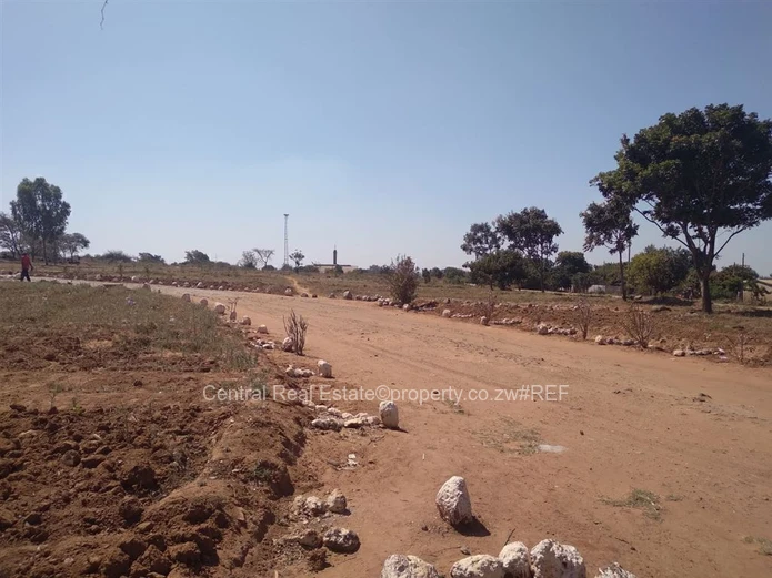 Mkoba 19, Commercial Stand 