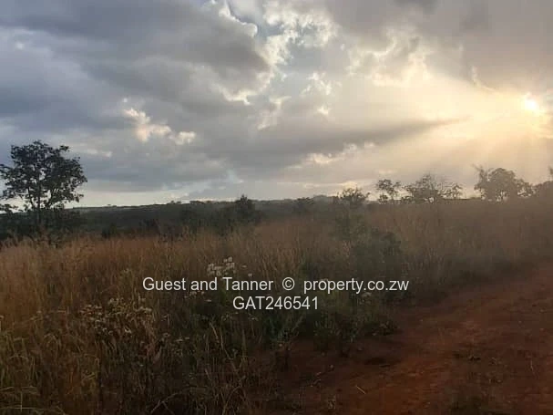 Prime Residential Stand for Sale – Crowhill