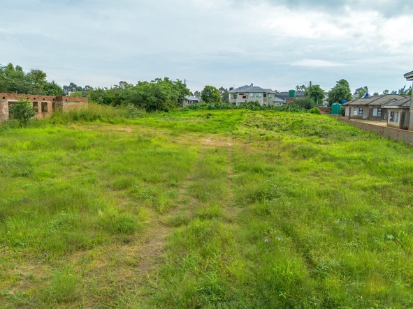 Stands & Residential Land