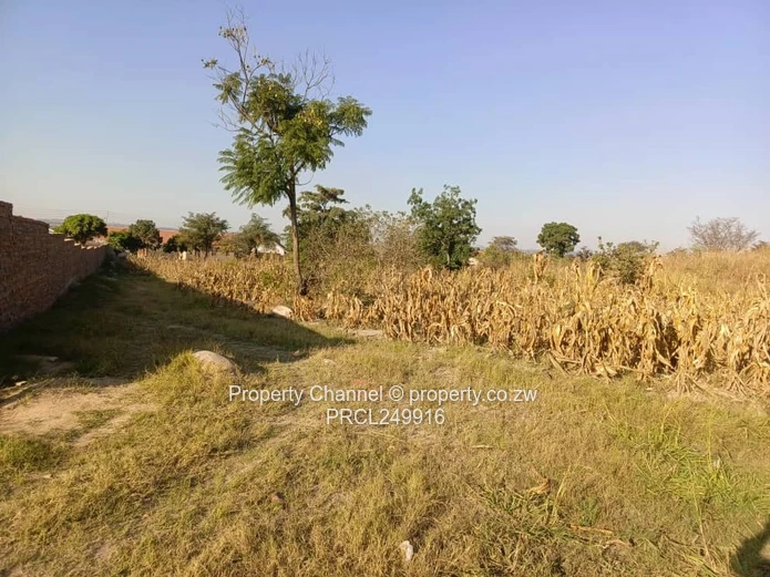 Stand for Sale – Prime Location Near Ocean Primary School