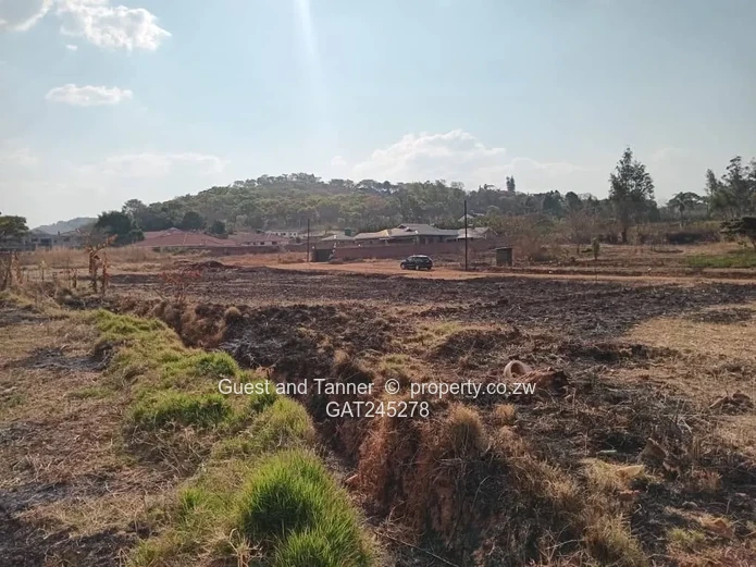 Ruwa Athelney Stands For Sale