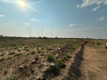 Farm & Agricultural Land