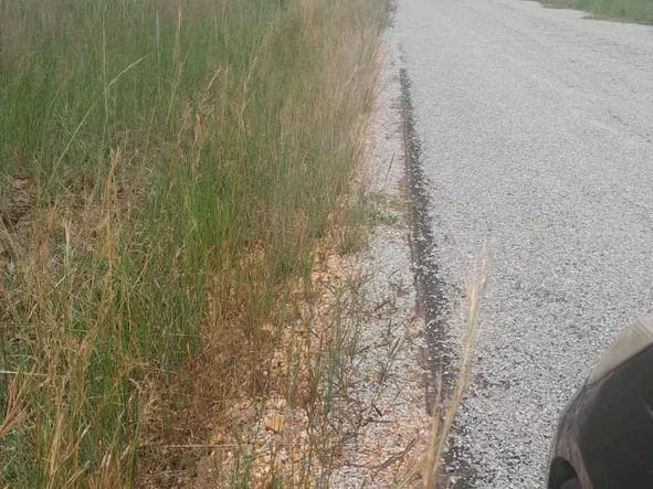 Commercial & Industrial Land