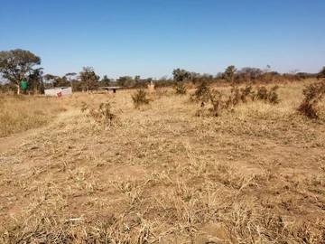 Farm & Agricultural Land