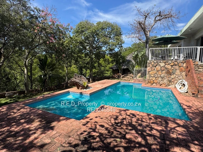 Business and Executive