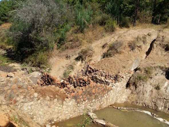 Stands & Residential Land