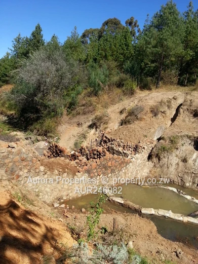 Expansive Farm in Airdale, Nyanga