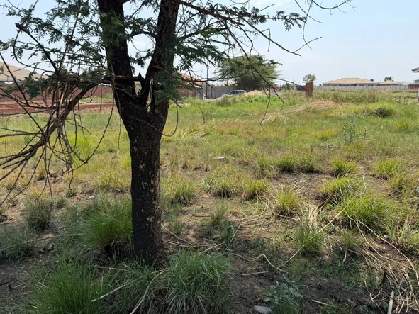 Stands & Residential Land